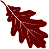 red leaf icon