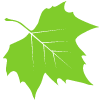 green leaf icon