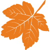 orange leaf icon